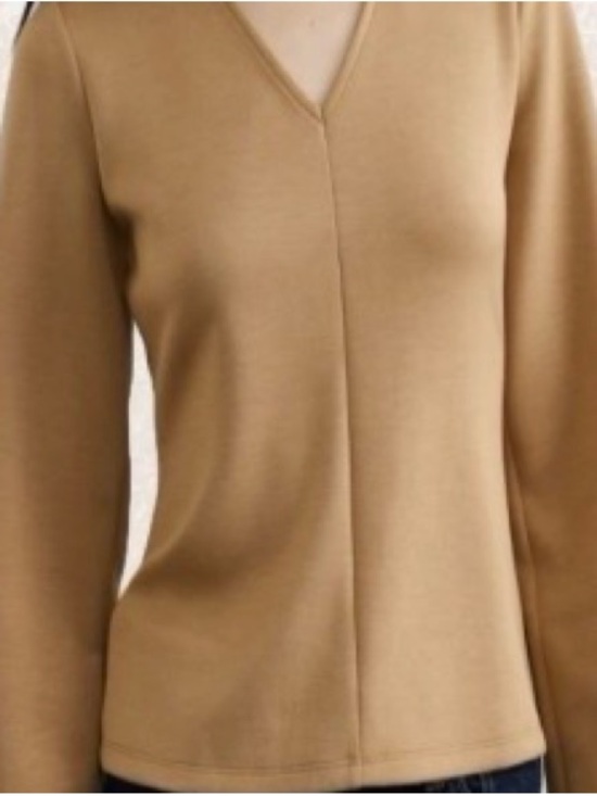 Banana Republic Tops - Banana Republic SOFT TOUCH SEAMED TOP/ V-Neck/Tan - Size Medium
